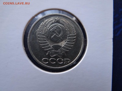 короткий есть блиц - DSC03171.JPG