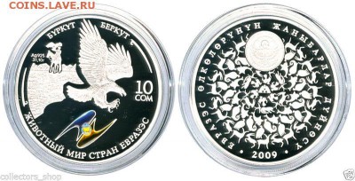 Беркут, 10 сом, серебро - Животный мир ЕвразЭс-Беркут