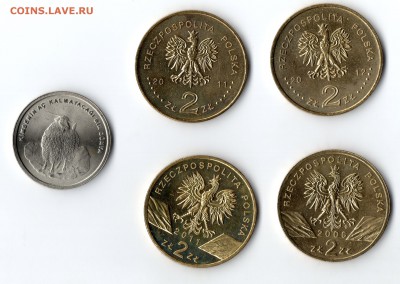 Оценка Турция, Польша, Япония, Украина, Приднестровье - img133