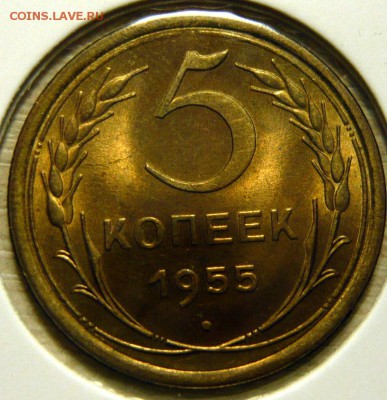 5 копеек 1955 года (без обращения) - P1160110.JPG
