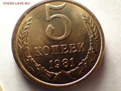 короткий есть блиц - DSC02848.JPG