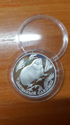 1 рубль 1996г. Красная книга. Слепыш. Серебро. до 31.03. - 20160328_074756