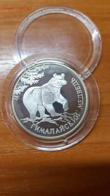 1 рубль 1994г. Красная книга. Медведь. Серебро. до 31.03. - 20160328_074521