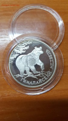 1 рубль 1994г. Красная книга. Медведь. Серебро. до 31.03. - 20160328_074519