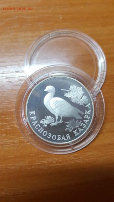 1 рубль 1994г. Красная книга. Казарка. Серебро. до 31.03. - 20160328_074443