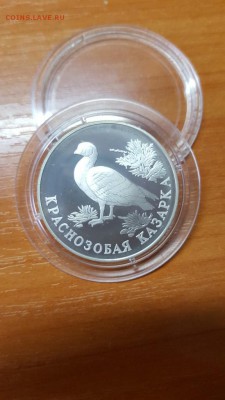 1 рубль 1994г. Красная книга. Казарка. Серебро. до 31.03. - 20160328_074432