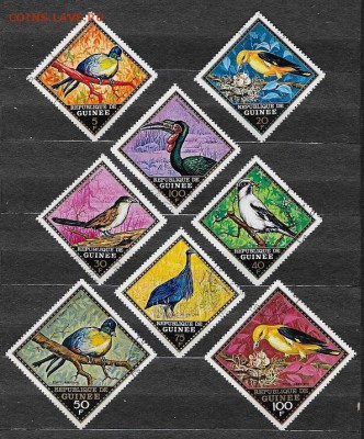 Марки Африки. Республика Гвинея. Птицы - Марки Африки. Республика Гвинея. Птицы