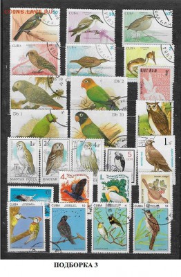 Марки мира. Птицы3 - Марки мира. Птицы 3