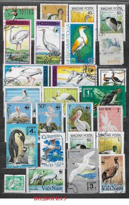 Марки мира. Птицы5 - Марки мира. Птицы 5