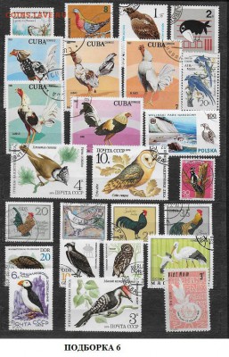 Марки мира. Птицы6 - Марки мира. Птицы 6