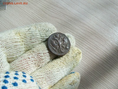 2 копейки) 1735 года, Анны Иоанновны - 100_3376.JPG