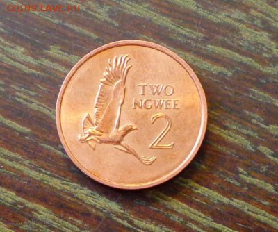 ЗАМБИЯ - ПТИЦА до 5.04, 22.00 - Замбия 2 нгве орел