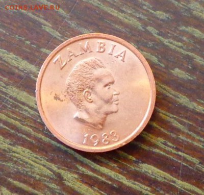 ЗАМБИЯ - ПТИЦА до 5.04, 22.00 - Замбия 2 нгве орел_1