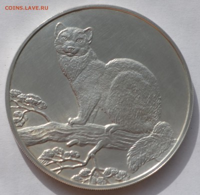 3р 1995 Ag Соболь с 1руб до 5.03 в 21:00мск - DSC_0015.JPG