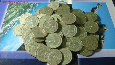 1 рубль 1964 - 65 штук до 2.04.16 - DSC02225.JPG