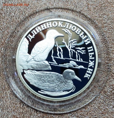 К.К. 2005 г.1 руб..ДЛИННОКЛЮВЫЙ ПЫЖИК до 5.04 - IMG_5846.JPG