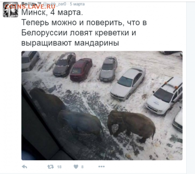 События на Украине. - 9_13