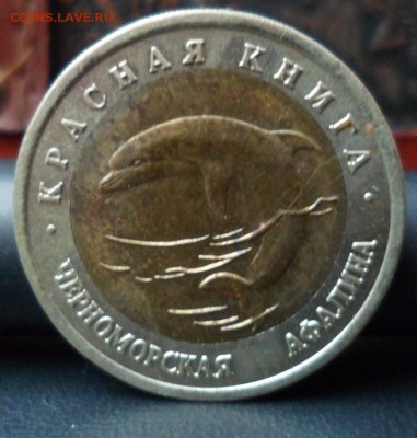 красная книга черноморская афалина до 05.04.16 22-00 мск - SAM_5382.JPG