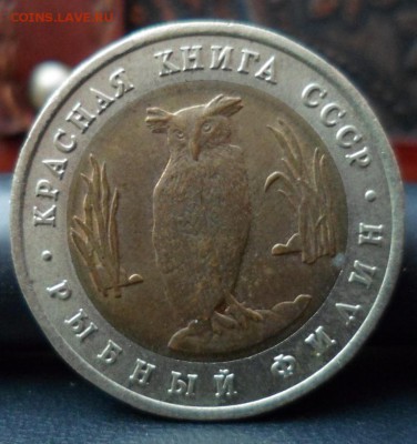 красная книга рыбный филин до 05.04.16 22-00 мск - SAM_5394.JPG