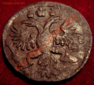 полушка 1734 шнур - МОЁ 040