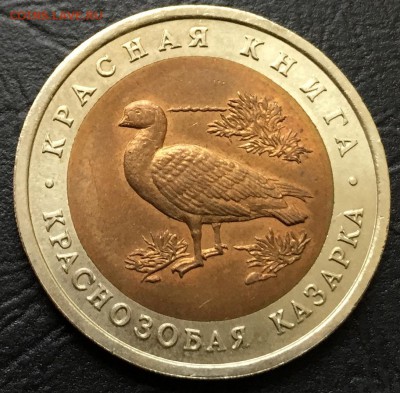 10 рублей Краснозобая казарка с 200 руб! до 5.04.16 22:00 - image-28-03-16-05-13-4