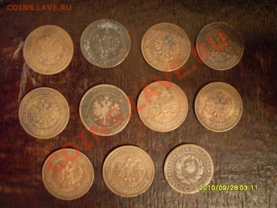 оцените пожалуйста - SDC12975.JPG