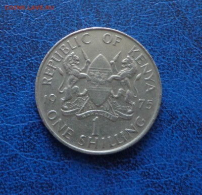 Кения 1 шиллинг 1975 до 4.04 - DSC01634.JPG