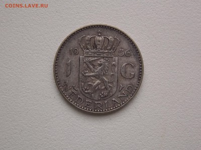 голандия - DSCN5926.JPG