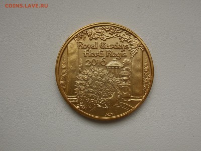 Жетоны, выпущеные в честь праздника "Марди Гра", США - DSCN5899.JPG