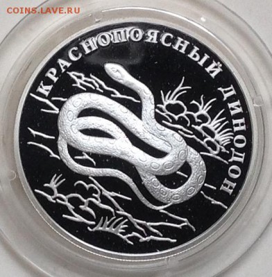 Динодон 1 рубль 2007 г.короткий лот до 3.04.2016 в 22.00 - image
