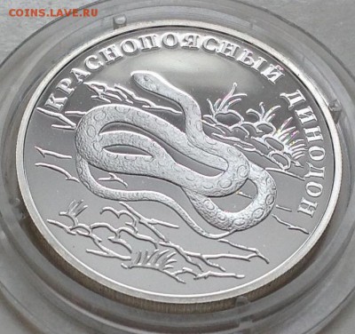 Динодон 1 рубль 2007 г.короткий лот до 3.04.2016 в 22.00 - image