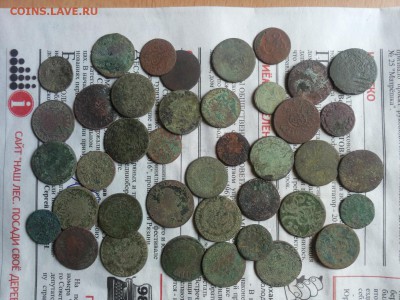 польша медь 17-18вв 40 монет до 8 ареля блиц - 20160207_110628