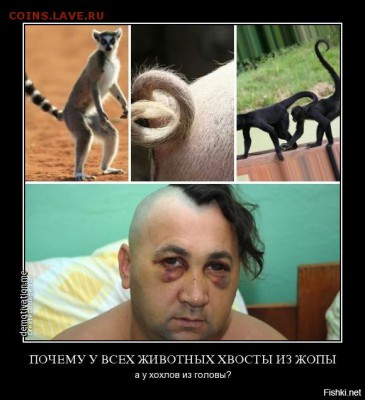 События на Украине. - хвост