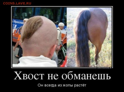 События на Украине. - хвост-2