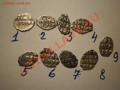 Чешуйки Петра, 9 шт., до 01.11 до  21:00 Москвы - P1010558.JPG