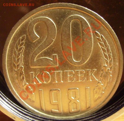 20к 1981 шт. - 81 2