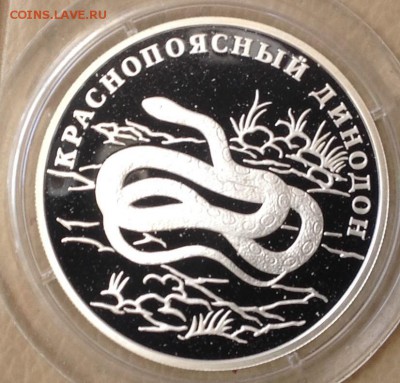 Динодон 1 рубль 2007 г.короткий лот до 5.04.2016 в 22.00 - image