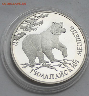 Один рубль Гималайский медведь 1994 г. - IMG_7353.JPG