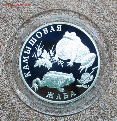 К..К.. 2004 г.1 руб..... КАМЫШОВАЯ ЖАБА.....до 9.04 - IMG_5866.JPG