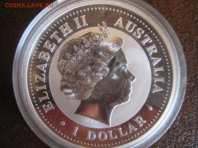 Австралия 1 доллар 2004г Обезьяна. - IMG_0260.JPG