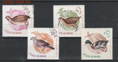 Птицы 1965 Румыния до 07.04 в 22.00 - IMG_20160405_0009