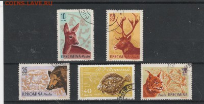 Животные 1960.61 Румыния до 07.04 в 22.00 - IMG_20160405_0011