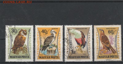 Птицы 1962 Венгрия до 07.04 в 22.00 - IMG_20160405_0015