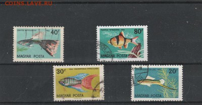 Рыбы 1962 Венгрия до 07.04 в 22.00 - IMG_20160405_0017