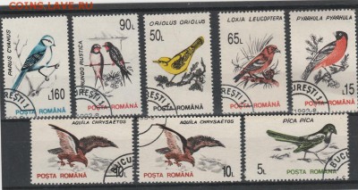 Птицы.Румыния. до 07.04. в 22.00 - IMG_20160405_0022