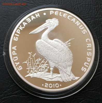 500 тенге Пеликан, Казахстан с 200 руб! до 12.04.16 22:00 - image-06-04-16-04-17-1