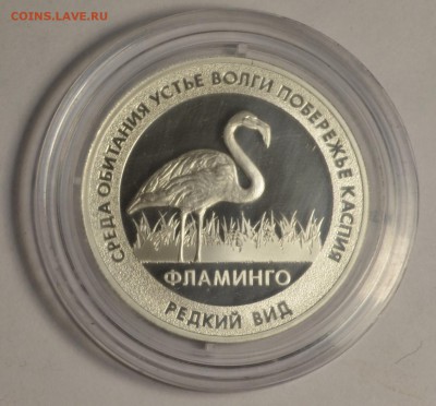 Красная книга.Фламинго Ag15,55гр СПМД с 1руб до 12.04 в 21:0 - DSC_0019.JPG