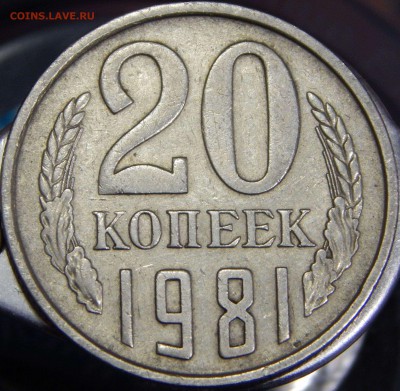 20 коп. 1981 шт.? - DSCN6755