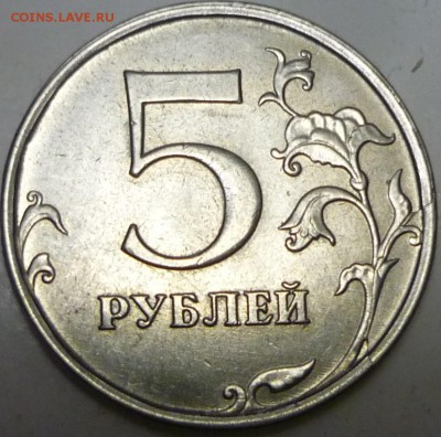 5р 2014 раскол ? - P1140760.JPG