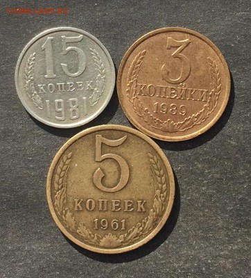 15к.81(волосатая),5к.61.3к.89 до 12.04.16 - IMG_0674.JPG